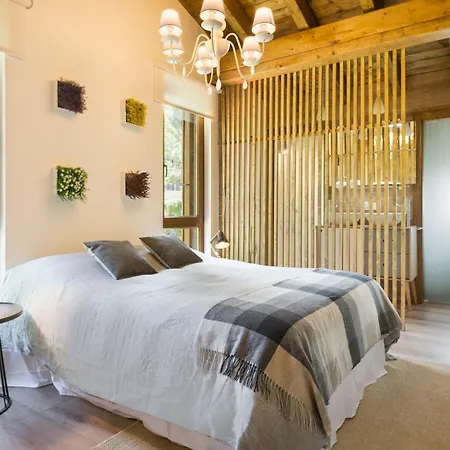 Casa Forelsa Lujo En La Montana Chalet Hoz de Jaca